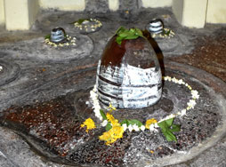 श्री धरणिवाराह मंदिर
