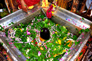 Vishveshwar Jyotirlinga