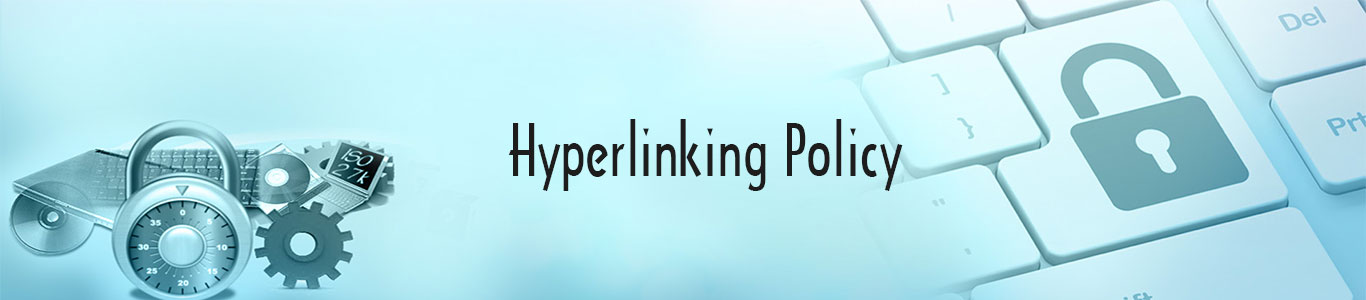 Hyperlinking Policy