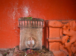 Draupadaditya Temple