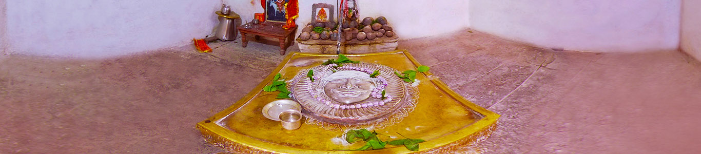 Vimaladitya Temple Photo Gallery